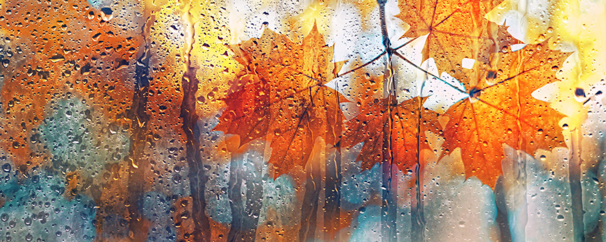 Και τώρα... Φθινόπωρο!