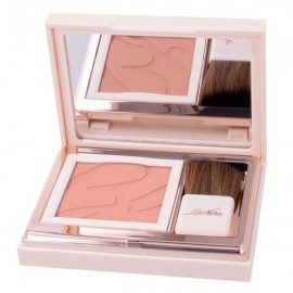 Bionike Defence Color Pretty Touch Compact Blusher  N 302 Peche  5 gr
