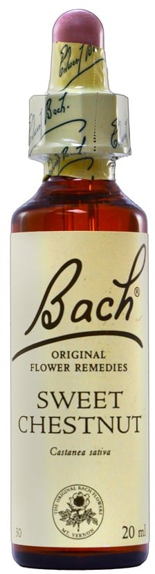 POWER HEALTH Bach Sweet Chestnut Ανθοΐαμα για την Αντιμετώπιση των Συναισθηματικών Απαιτήσεων της Καθημερινότητας, 20ml