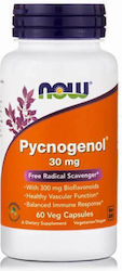 NOW Pycnogenol® 30 mg   Συμπληρωμα Διατροφης 60 Veg Capsules