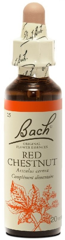 POWER HEALTH Bach Red Chestnut Ανθοΐαμα για την Αντιμετώπιση των Συναισθηματικών Απαιτήσεων της Καθημερινότητας, 20ml