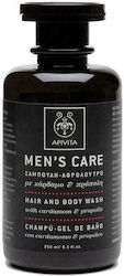 APIVITA Mens Care Hair & Body Wash, Σαμπουάν - Αφρόλουτρο για Ανδρες με Κάρδαμο & Πρόπολη, 250ml