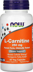 NOW L-Carnitine 250 mg Καρνιτινη 60 Veg Caps
