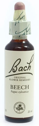 POWER HEALTH Bach Holly Ανθοΐαμα για την Αντιμετώπιση των Συναισθηματικών Απαιτήσεων της Καθημερινότητας, 20ml