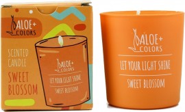Aloe  Colors Sweet Blossom Scented Soy Candle Κερί Σόγιας με Άρωμα Βανίλια Πορτοκάλι, 220gr