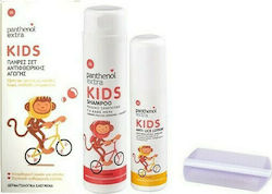 PANTHENOL EXTRA SET Anti Lice Lotion 125ml & Shampoo 300ml Αντιφθειρική Αγωγή Λοσιόν, Χτενάκι & Σαμπουάν