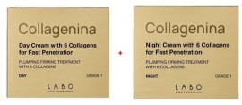 Collagenina PROMO Day Cream Grade 1 Αγωγή Ημέρας για Αναπλήρωση Όγκου & Σύσφιξη 50ml - ΔΩΡΟ Night Cream Grade 1 Αγωγή Νυκτός 50ml - Διάφανο Νεσεσέρ