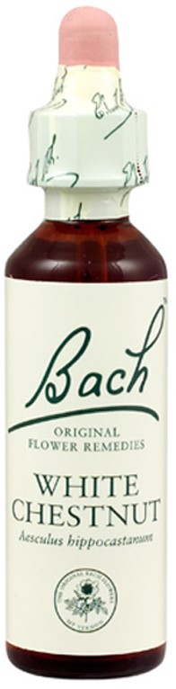 POWER HEALTH Bach White Chestnut Ανθοΐαμα για την Αντιμετώπιση των Συναισθηματικών Απαιτήσεων της Καθημερινότητας, 20ml