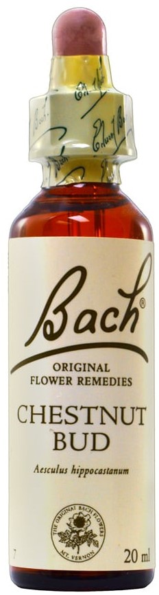 POWER HEALTH Bach Chestnut Bud Ανθοΐαμα για την Αντιμετώπιση των Συναισθηματικών Απαιτήσεων της Καθημερινότητας, 20ml