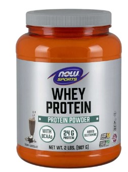 NOW Whey Protein Dutch Chocolate Powder 908 gr