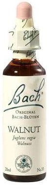 POWER HEALTH Bach Walnut Ανθοΐαμα για την Αντιμετώπιση των Συναισθηματικών Απαιτήσεων της Καθημερινότητας, 20ml
