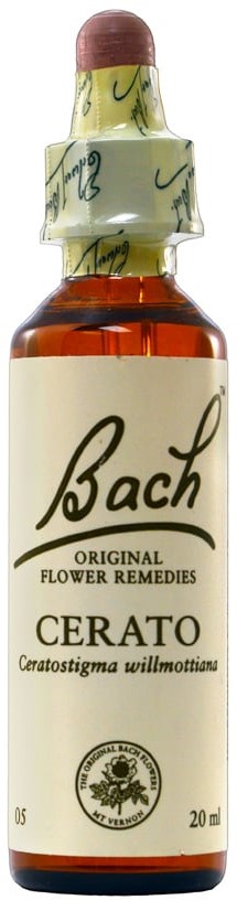 POWER HEALTH Bach Cerato Ανθοΐαμα για την Αντιμετώπιση των Συναισθηματικών Απαιτήσεων της Καθημερινότητας, 20ml