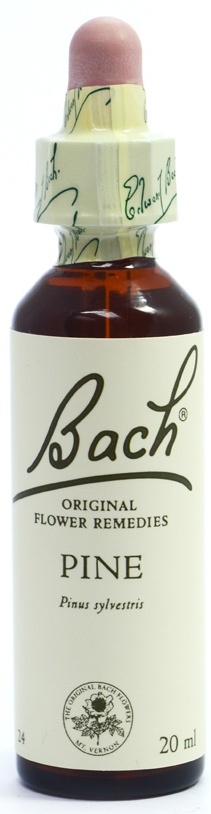 POWER HEALTH Bach Pine Ανθοΐαμα για την Αντιμετώπιση των Συναισθηματικών Απαιτήσεων της Καθημερινότητας, 20ml