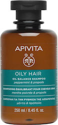 APIVITA  Σαμπουάν για τη Ρύθμιση της Λιπαρότητας Μέντα & Πρόπολη 250ml
