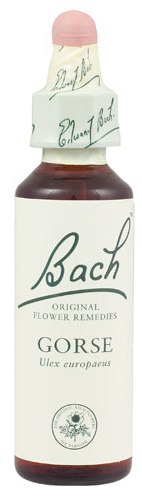 POWER HEALTH Bach Gorse Ανθοΐαμα για την Αντιμετώπιση των Συναισθηματικών Απαιτήσεων της Καθημερινότητας, 20ml