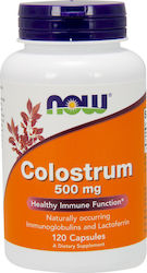 NOW Colostrum 500 mg Πρωτογαλα 120 Veg Capsules